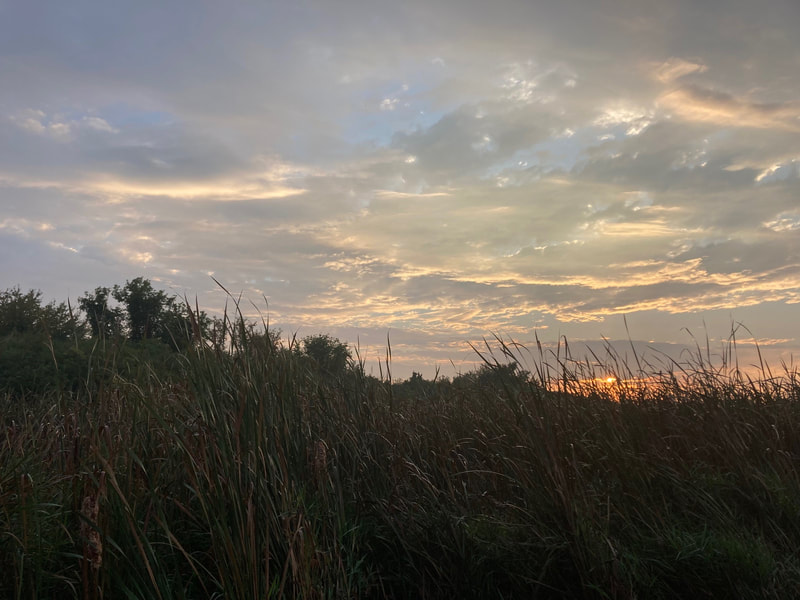 Sunrise over the lowland grasses south of the railroad tracks