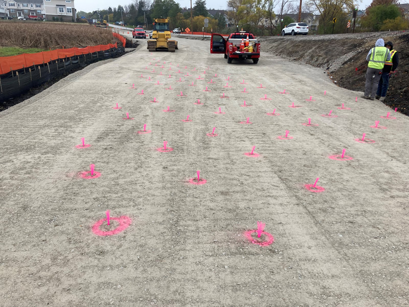 Each pink ‘whisker’ marks a future vertical wick drain location